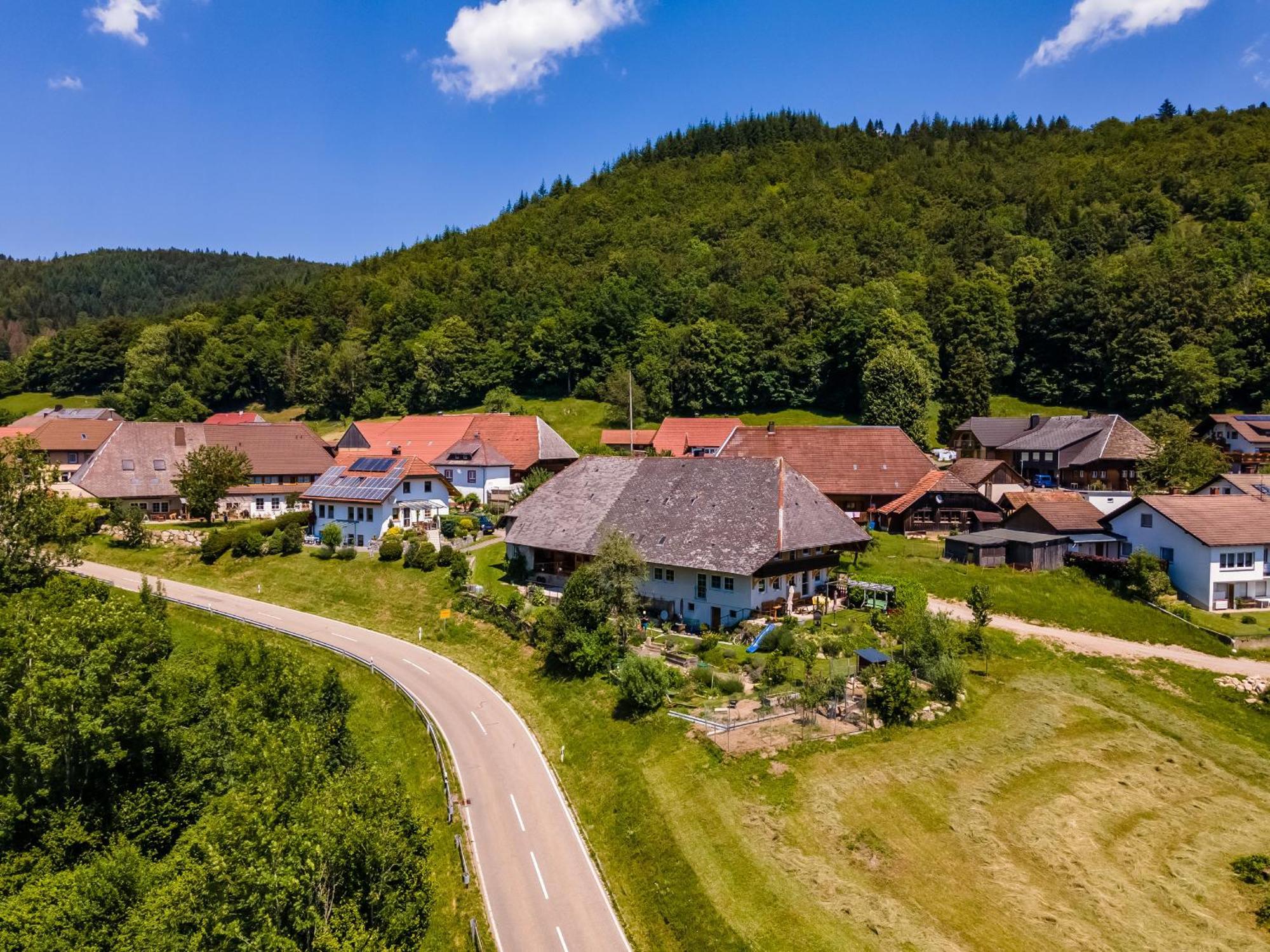Ferienwohnung Belchenliebe Schonenberg Bagian luar foto