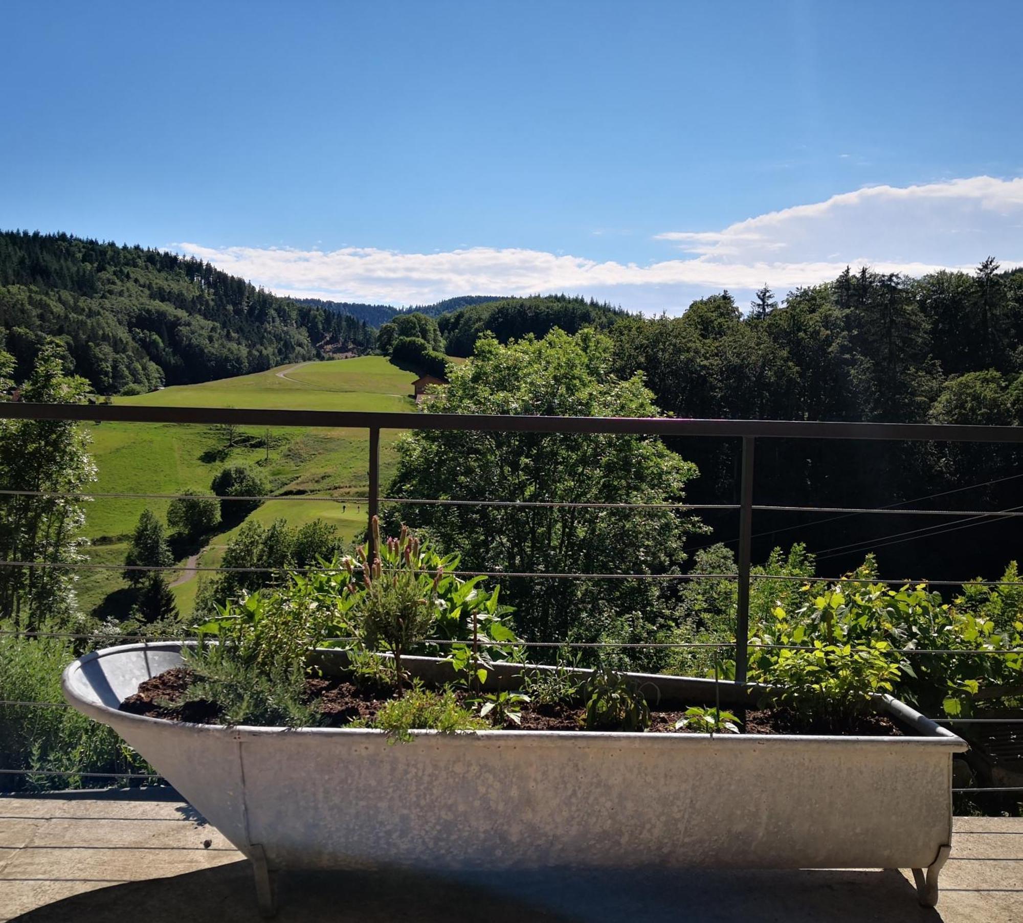 Ferienwohnung Belchenliebe Schonenberg Bagian luar foto