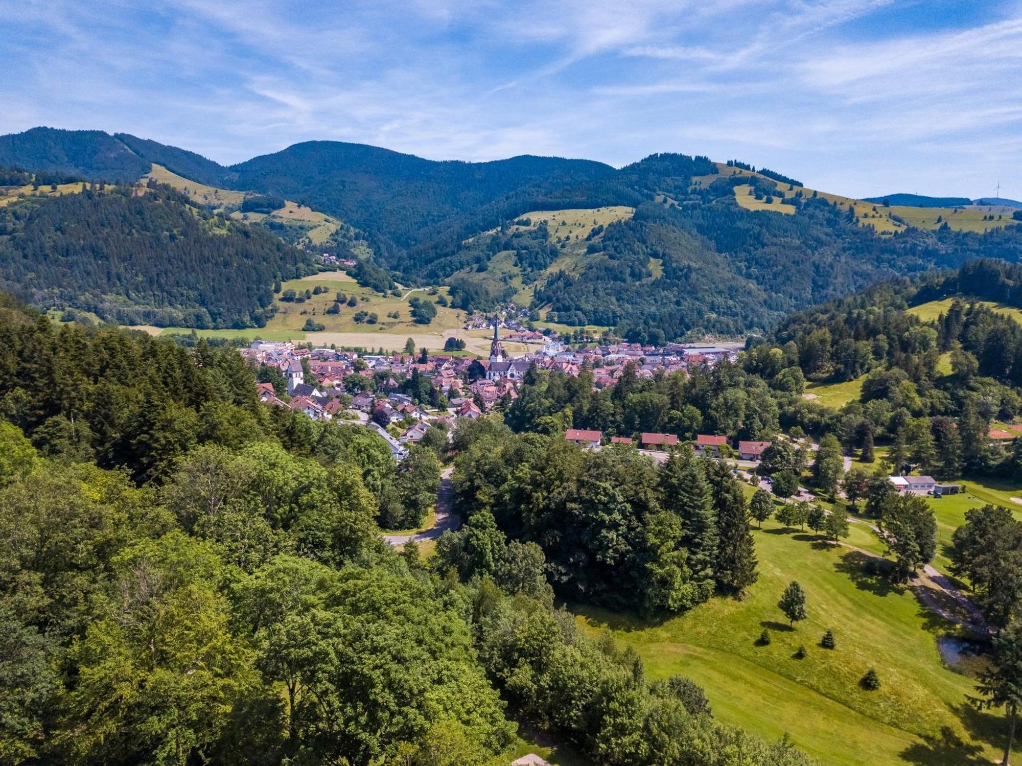 Ferienwohnung Belchenliebe Schonenberg Bagian luar foto